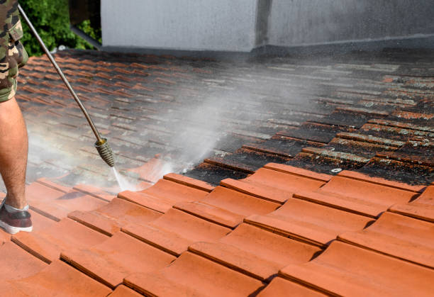 Best Power Washing Near Me  in East Ridge, TN