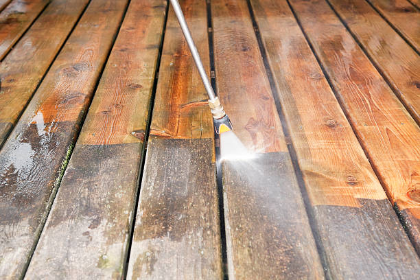 Best Roof Pressure Washing  in East Ridge, TN